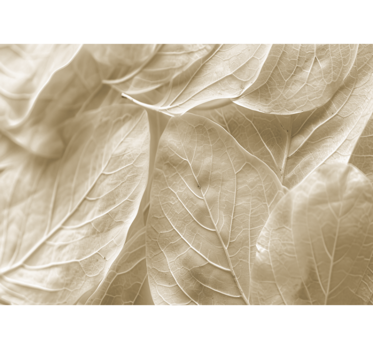 Velké béžové listy Fototapeta hlavní ložnice - TenStickers