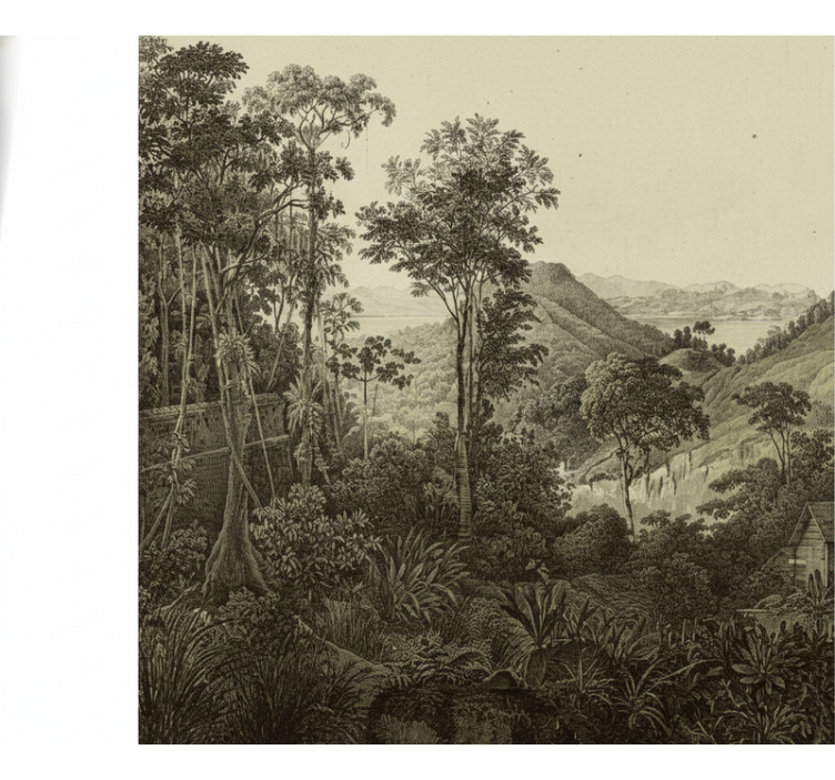 Lesní fototapeta vlnitý lesní motiv - TenStickers