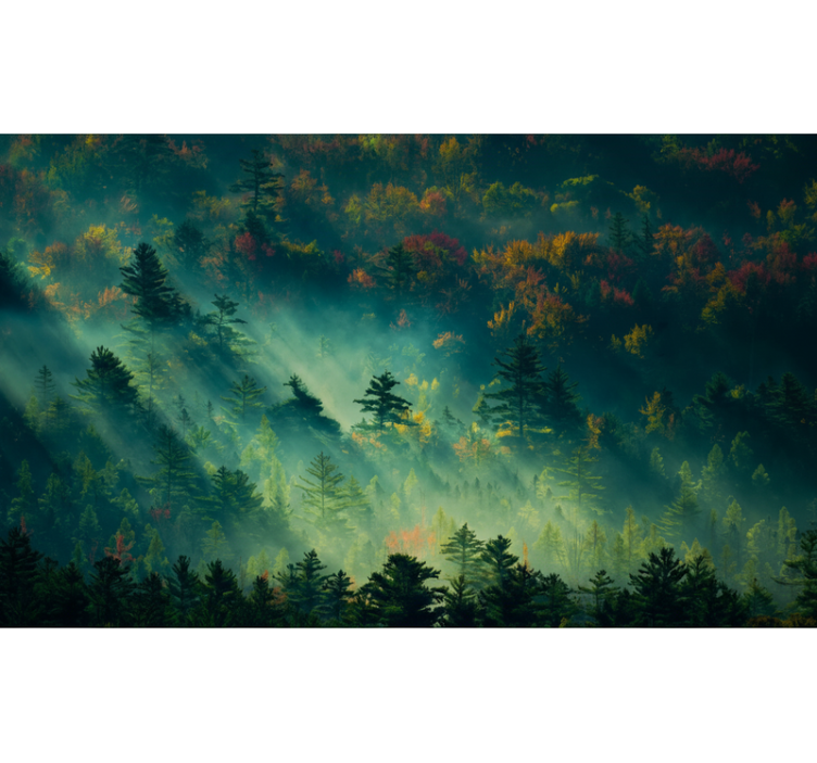 Lesní fototapeta tajemný les - TenStickers