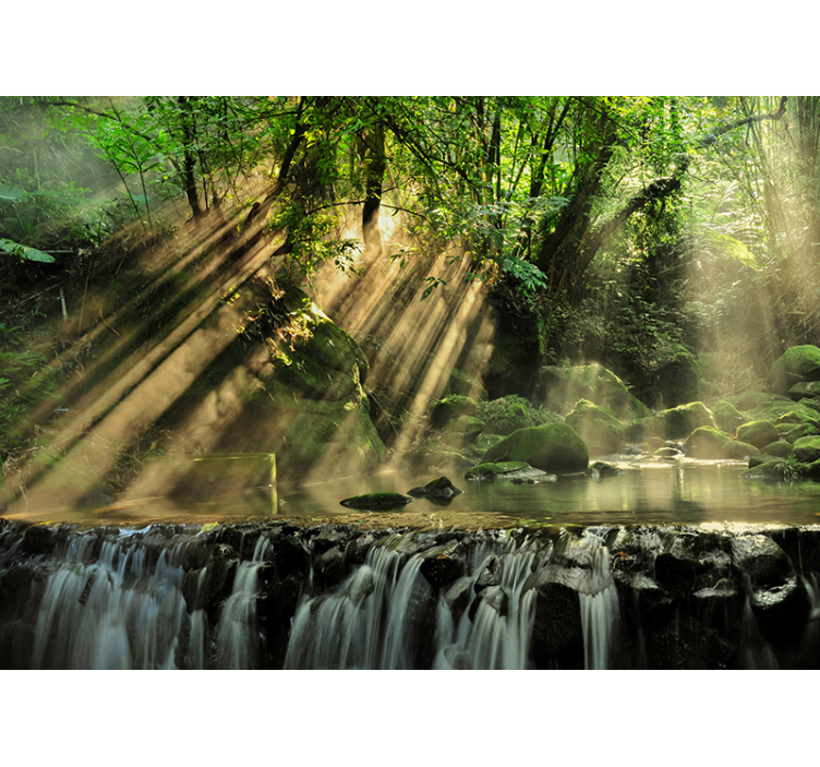 Fototapeta tajné lesní krajiny - TenStickers