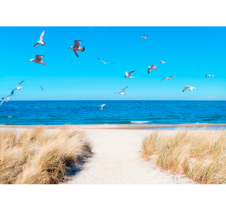 Plážové tapety na zeď - TenStickers