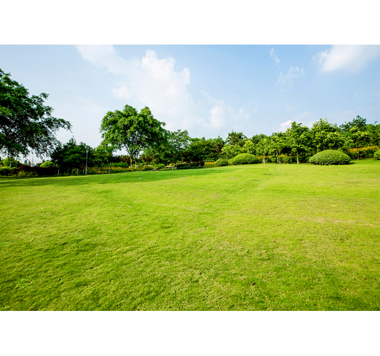 Zelená louka příroda fototapeta - TenStickers