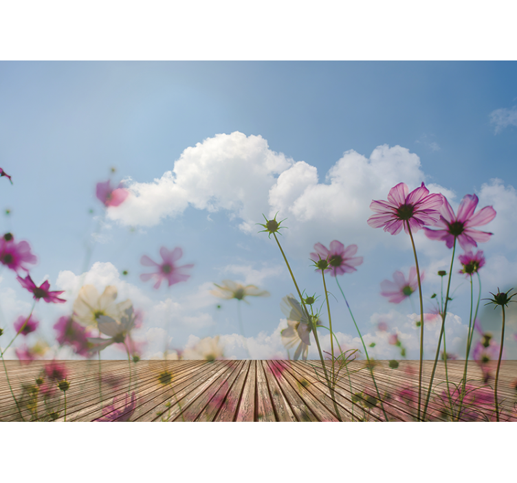 Cesta s moukou do nebe moderní fototapeta - TenStickers