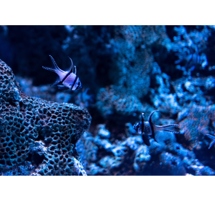 život v hlubokém oceánu pod mořskou fototapeta - TenStickers