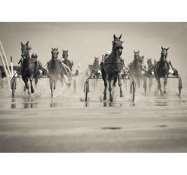 Koně závodí společně Fototapeta zvířata - TenStickers