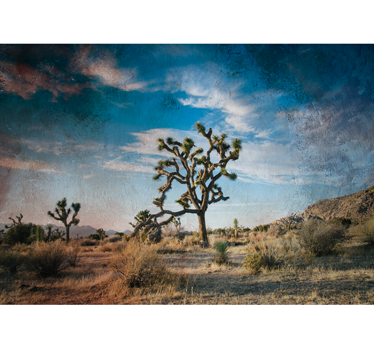 Krajina s joshua tree Příroda fototapeta - TenStickers