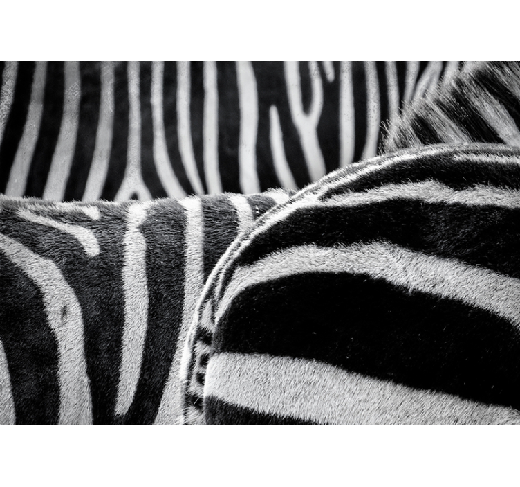 Realistické zebry pruhy Fototapeta zvířata - TenStickers