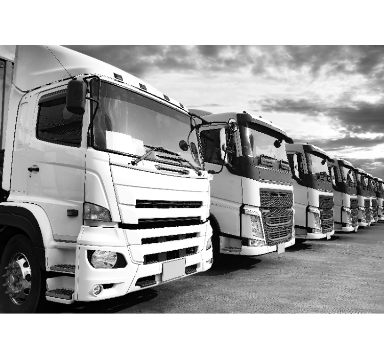 Fototapeta vozidel nákladní vozy v řadě - TenStickers