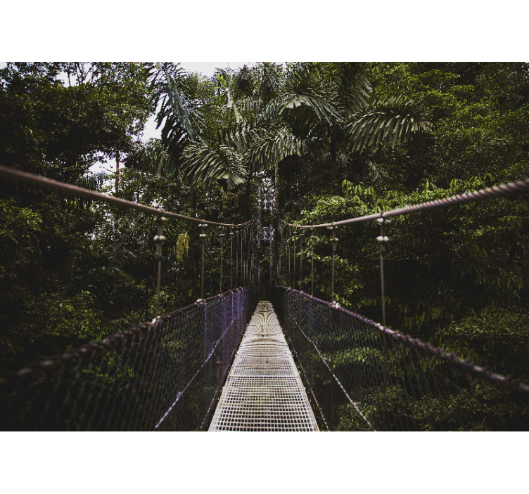 Dobrodružství na visutém mostě Příroda fototapeta - TenStickers