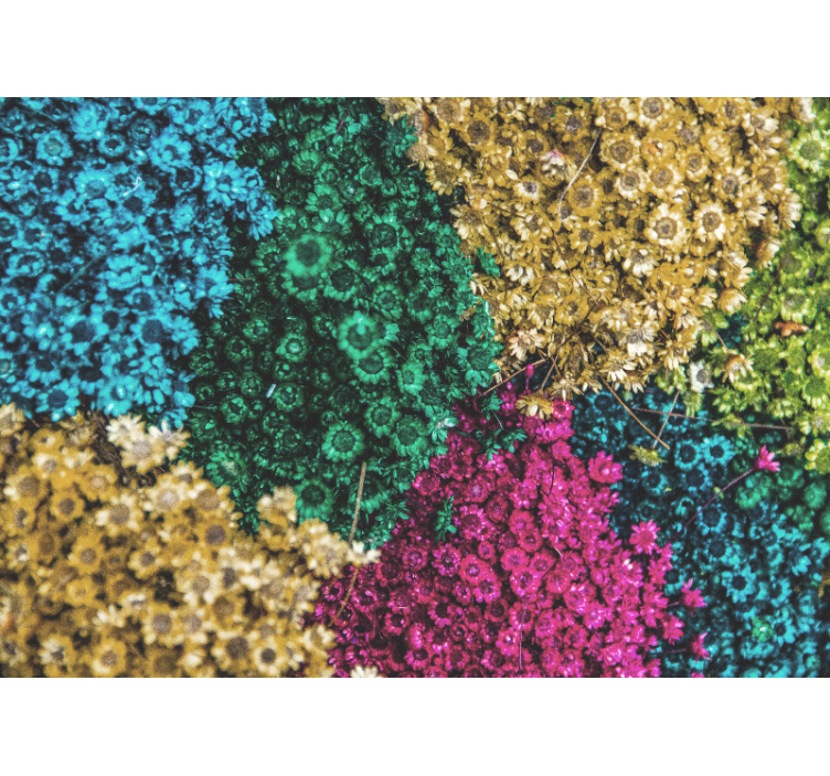 Fototapeta květiny v pestrých vzorech - TenStickers