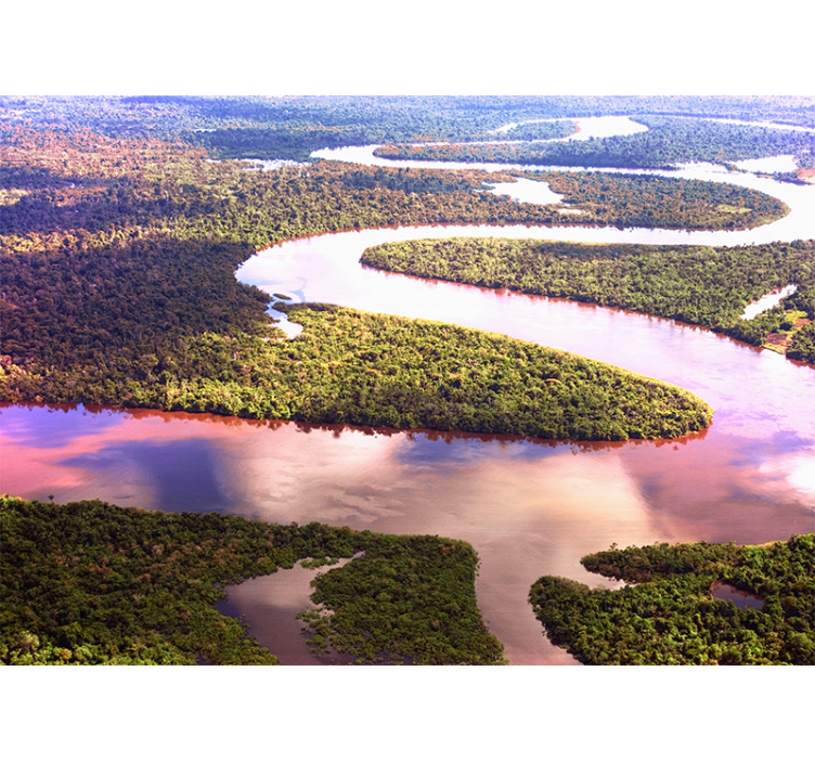 Fototapeta řeka amazonka - TenStickers