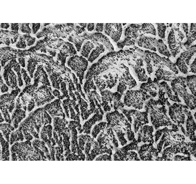 Textury a vzory fototapeta organické textury - TenStickers