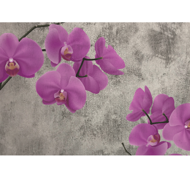 Fototapeta květiny růžové orchideje v květu - TenStickers