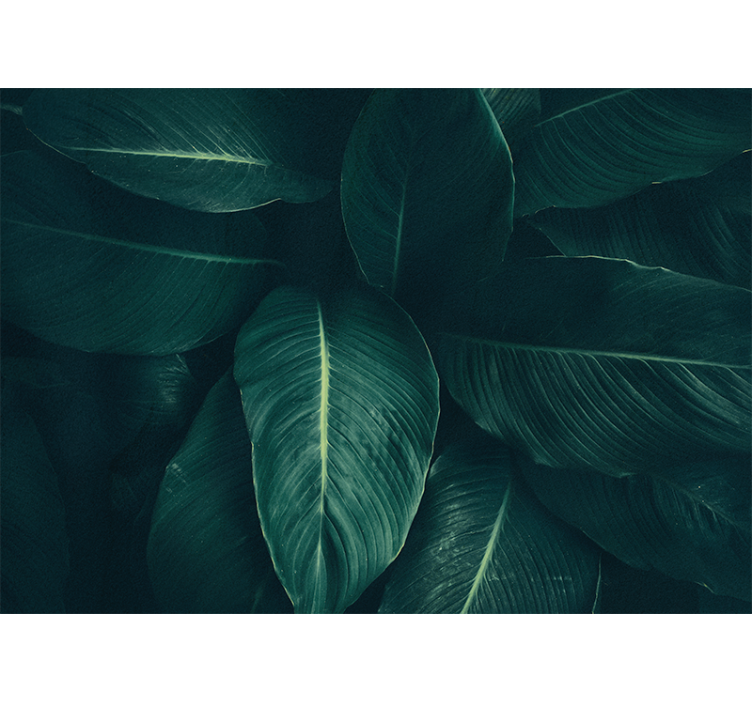 Příroda fototapeta bohaté listové textury - TenStickers