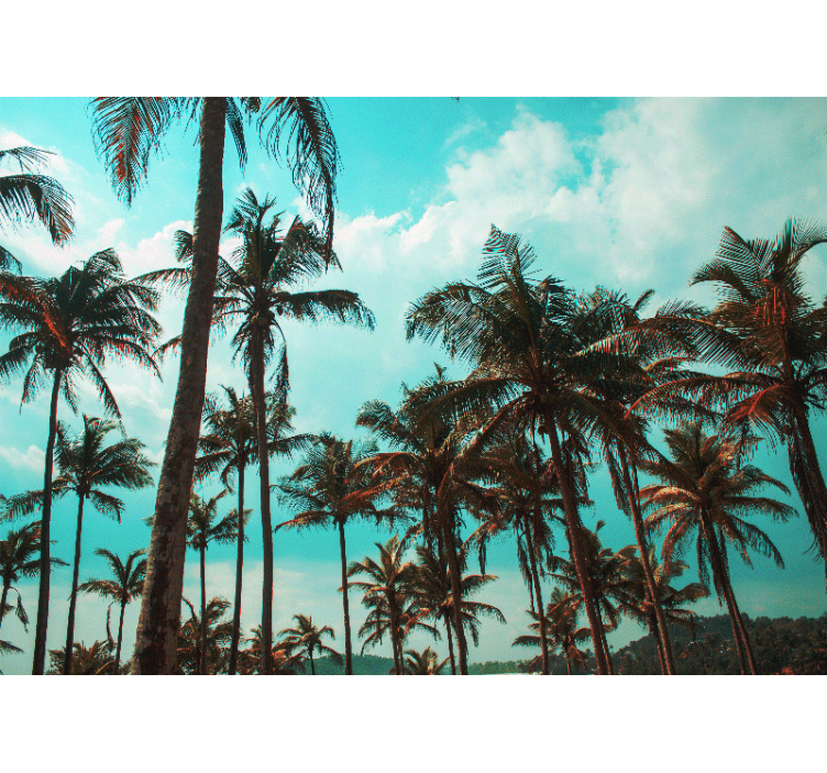 Příroda fototapeta ráj palmových stromů - TenStickers