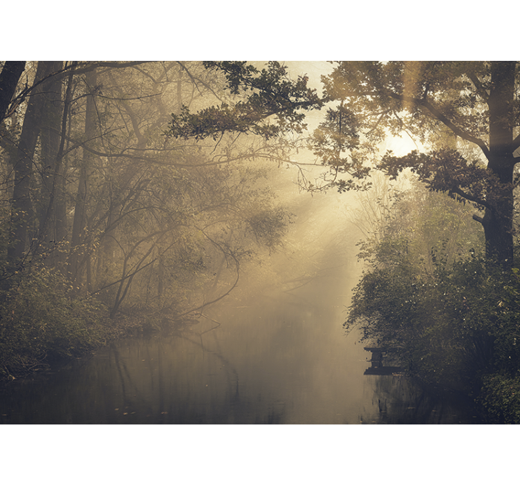 Fototapeta vysoké zelené stromy se sluneční erupcí - TenStickers