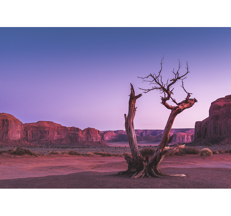 Fototapeta písečná kamenná struktura - TenStickers