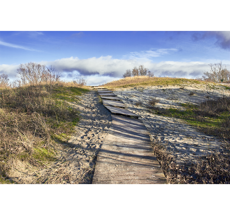 Fototapeta krajina dřevěné cesty - TenStickers