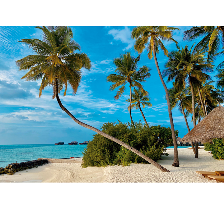 Příroda fototapeta tropické palmové krajiny - TenStickers