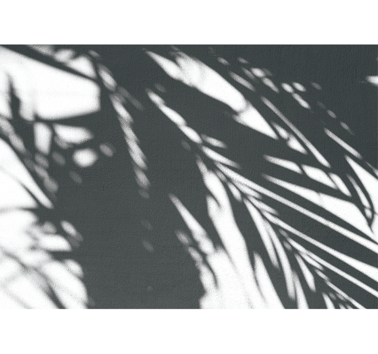Příroda fototapeta stíny palmových vzorů - TenStickers