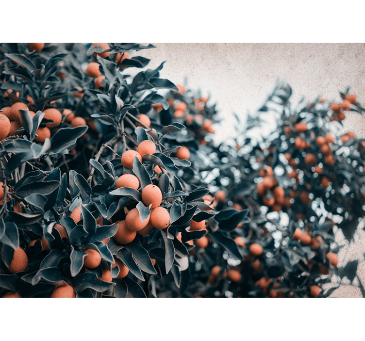 Fototapeta oranžové ovoce na stromě v obývacím pokoji - TenStickers