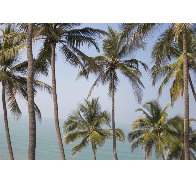Příroda fototapeta krajina palmových stromů - TenStickers
