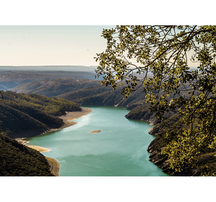 Fototapeta velké stromy vedle jezerního lesa - TenStickers