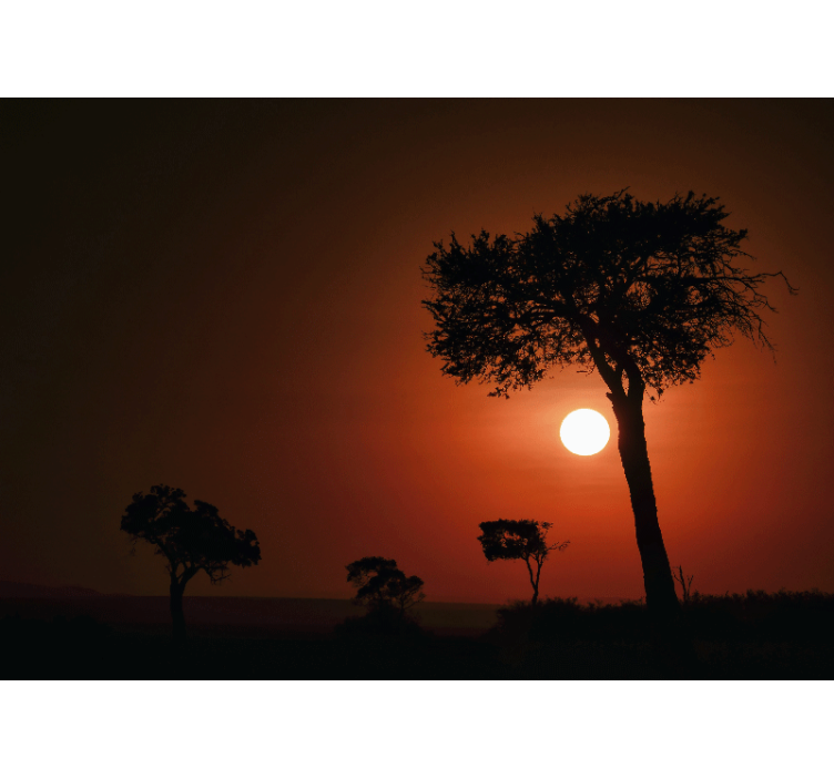 Fototapeta sunny bright savannah afrika - TenStickers