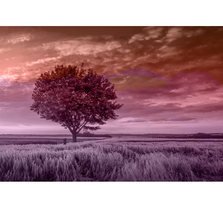 Silueta osamělého stromu Lesní fototapeta - TenStickers