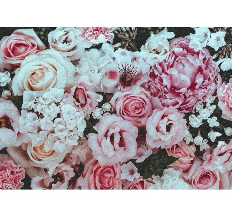 Světle růžová fototapeta v různých velikostech růže - TenStickers