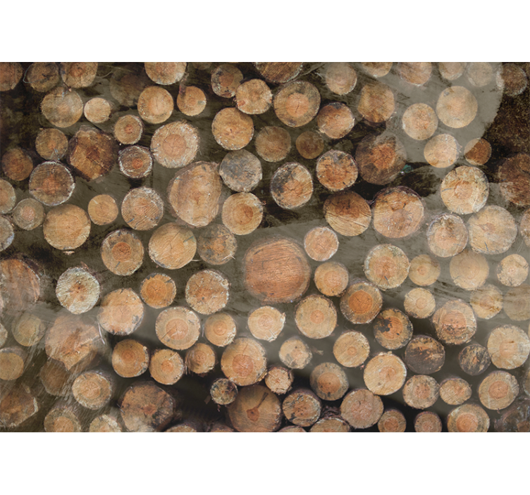 Fototapeta na textury a vzory dřevěné klády - TenStickers