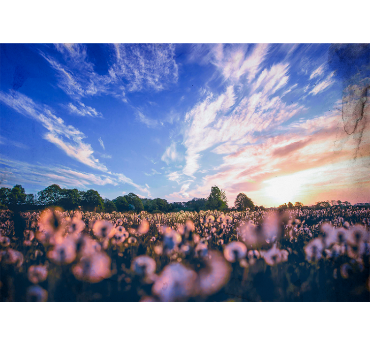 Fototapeta květiny klid v pampeliškovém poli - TenStickers