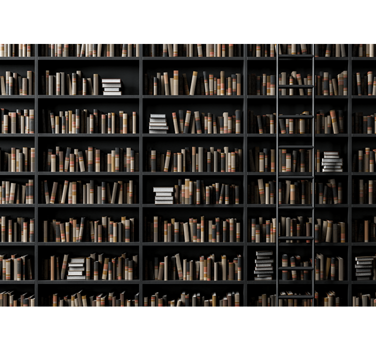 Police na knihy optický klam 3d fototapeta - TenStickers