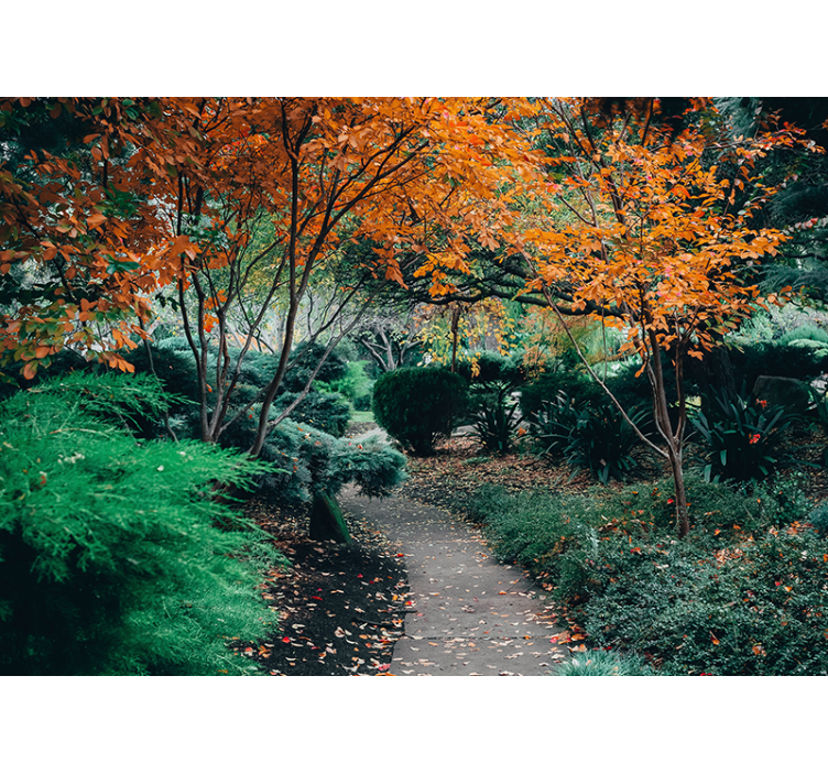 3d fototapeta "cottagecore" botanická chodba - TenStickers