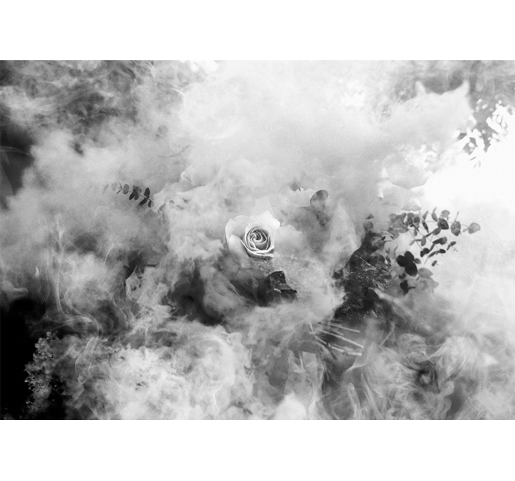 Fototapeta květiny Éterická bílá růže - TenStickers