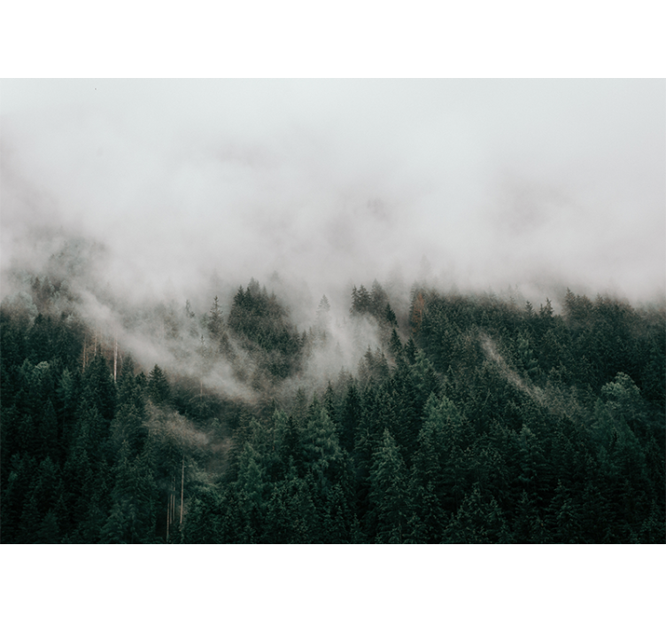 Lesní fototapeta mlžná lesní krajina - TenStickers