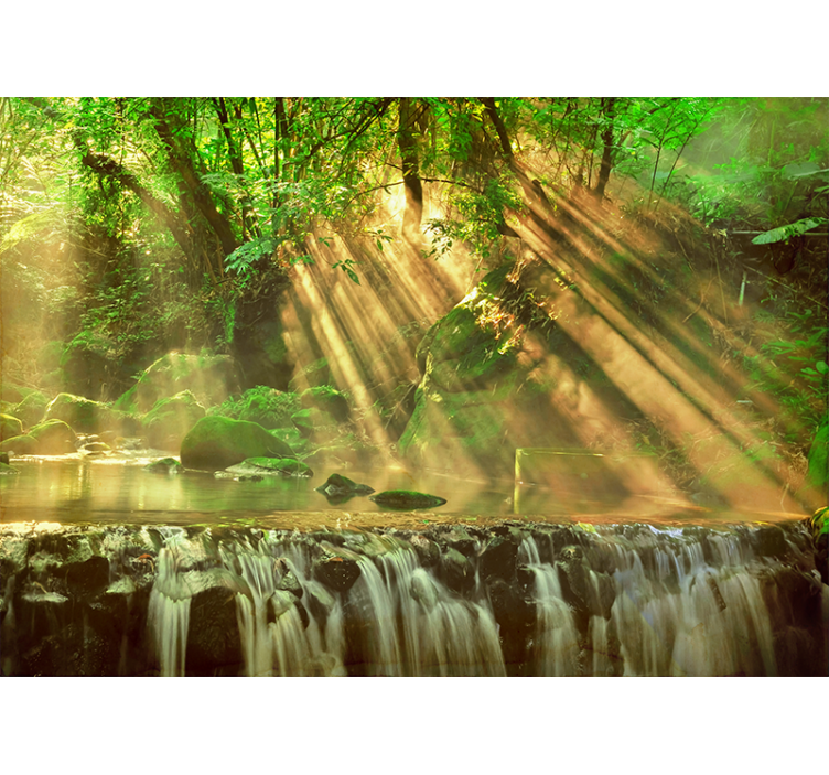 Příroda fototapeta plynoucí zeleň - TenStickers