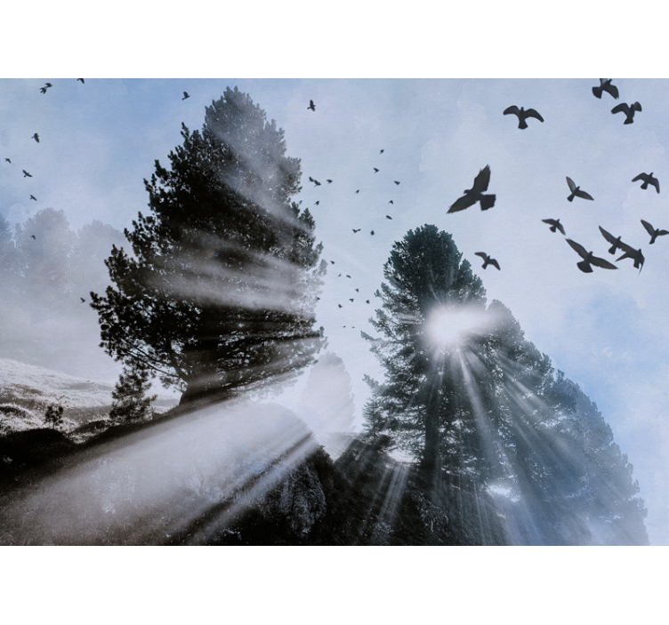 Zářivé orest paprsky s ptáky Lesní fototapeta - TenStickers