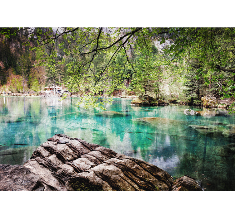 Fototapeta jezero a stromy během dne jezera - TenStickers
