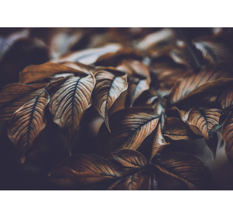 Zlaté listy přírodní fototapeta - TenStickers