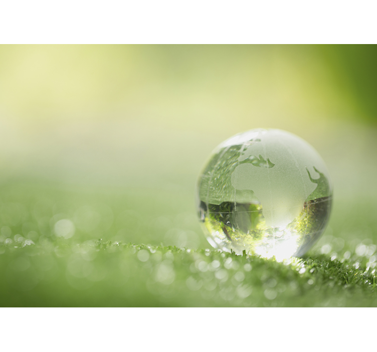 Lesní zeď nástěnná kapka vody přes trávu - TenStickers