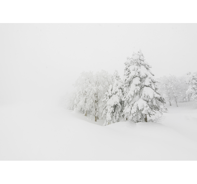 Fototapeta zimní bouře a strom lesní - TenStickers