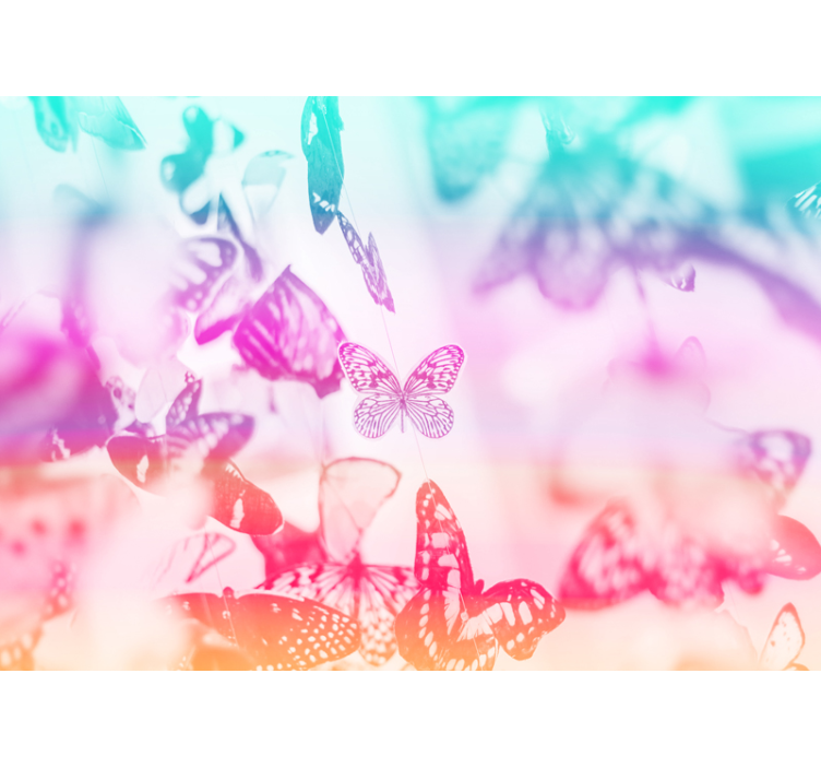 Fototapeta přechodu motýli zvíře - TenStickers