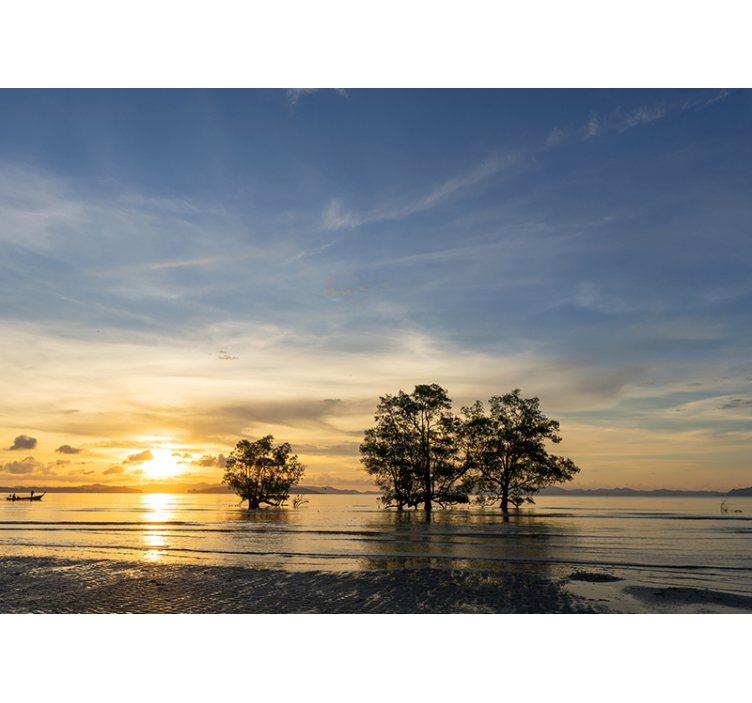 Klidný západ slunce Fototapeta - TenStickers