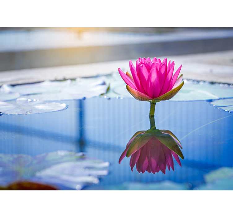 Jasně modrá voda a růžové květy fototapeta - TenStickers