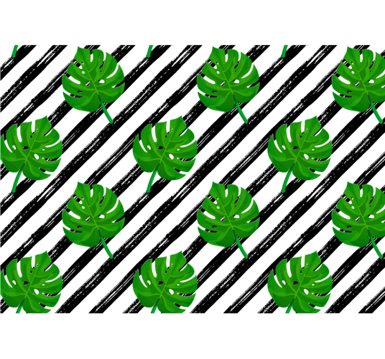 Pruhované monstera listy příroda fototapeta - TenStickers