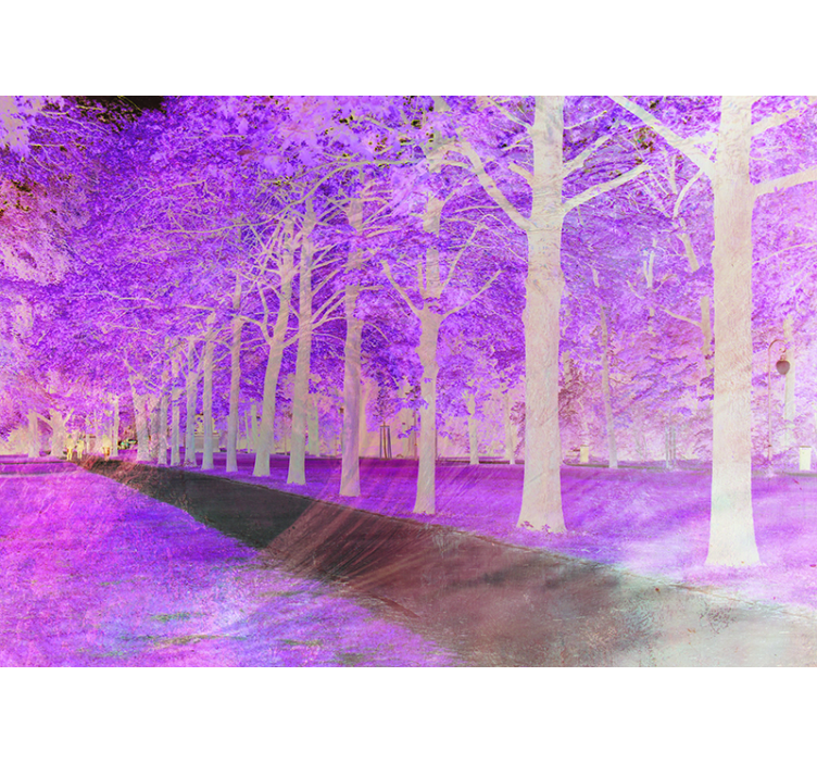 Svěží zelená cesta Příroda fototapeta - TenStickers