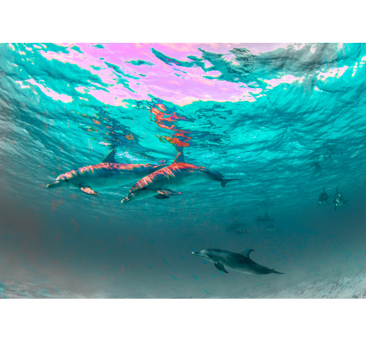 Fototapeta zvířata delfíni hrající si ve vodě - TenStickers