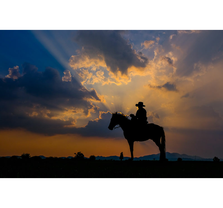 Fototapeta zvířata jezdec na koni - TenStickers