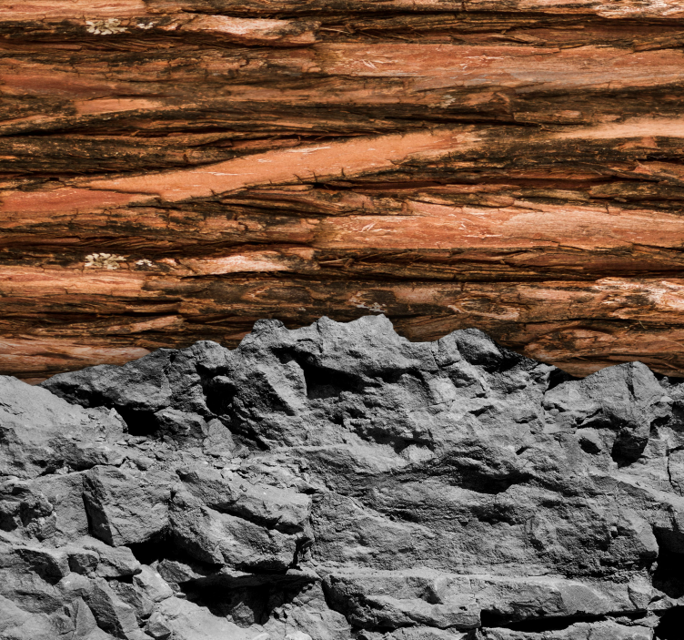 Fototapeta ze dřeva a kamene - TenStickers